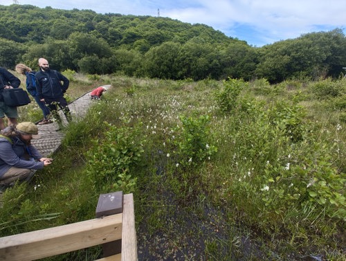 Cynrychiolwyr yn edrych ar Gors Crymlyn